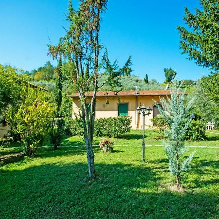 Apartment Il Gelsomino By Interhome La Collina Dış mekan fotoğraf